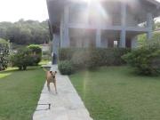 Villa in vendita a Castelletto Sopra Ticino NO