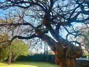 Villa in vendita a Modena MO