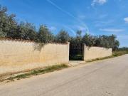 Villa in vendita a Castelvetrano TP