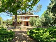 Villa in vendita a Castiglione Del Lago