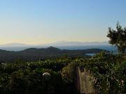 Villa in vendita a Castiglione della Pescaia GR