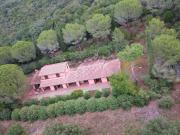 Rustico / Casale in vendita a Castiglione della Pescaia GR