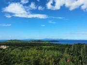 Villa in vendita a Castiglione della Pescaia GR