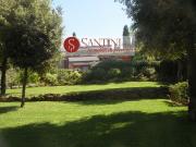 VILLA in VENDITA a CASTIGLIONE DELLA PESCAIA PUNTA ALA...