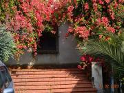 Villa in vendita a Catania CT