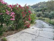 Villa in vendita a Caulonia RC