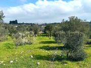 Villa in vendita a Ceglie Messapica BR