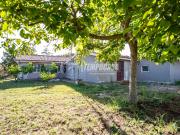 Villa in vendita a Cerveteri