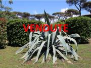 Villa in vendita a Cerveteri RM