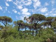 Villa in vendita a Cervia RA