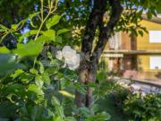 Villa in vendita a Concordia Sagittaria VE