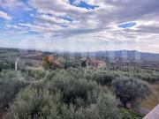 Villa in vendita a Corropoli TE