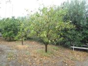 Villa in vendita a Crotone