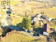 Villa in vendita a Denice AL