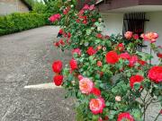 Villa in vendita a Dolo VE