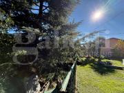 Villa in vendita a Erba CO