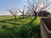 Villa in vendita a Fano PU