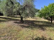 Villa in vendita a Fara in Sabina, Baccelli