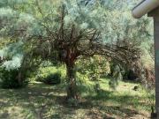 Villa in vendita a Ferrara