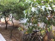 Villa in vendita a Ficarazzi PA