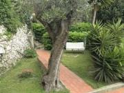 Villa in vendita a Finale Ligure SV