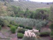 Villa in vendita a Firenze