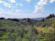 Villa in vendita a Firenze