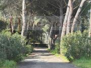 Villa in vendita a Firenze FI