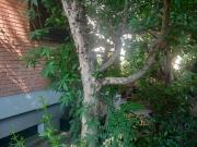 Villa in vendita a Firenze FI