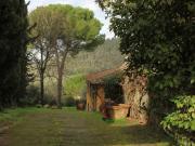 VILLA in VENDITA a FIRENZE SAN DOMENICO / SETTIGNANO