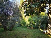 Villa in vendita a Formello RM