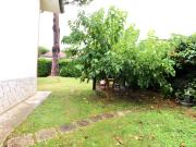 Villa in vendita a Frascati RM