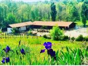 Villa in vendita a Gattinara VC