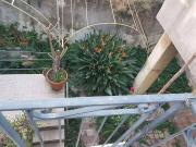 Villa in vendita a Giarre CT