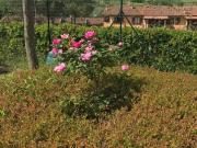 Villa in vendita a Greve in Chianti FI