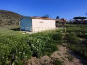 Immobile in vendita a Grosseto GR
