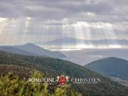 Villa in vendita a Grosseto GR