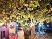 Villa in vendita a Ladispoli RM