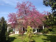 Villa in vendita a Latina LT