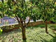 Villa in vendita a Latina LT