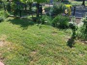 Villa in vendita a Limena PD