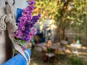 Villa in vendita a Livorno LI