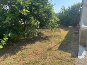 Villa in vendita a Livorno LI