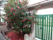 Villa in vendita a Lizzano TA