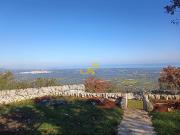 Villa in vendita a Locorotondo