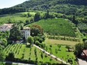 Villa in Vendita a Longare