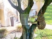 Villa in vendita a Loreggia PD