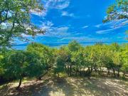 Villa in vendita a Magione PG