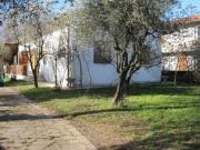 Villa in vendita a Massa