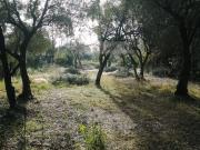 Villa in vendita a Massa, Quercioli